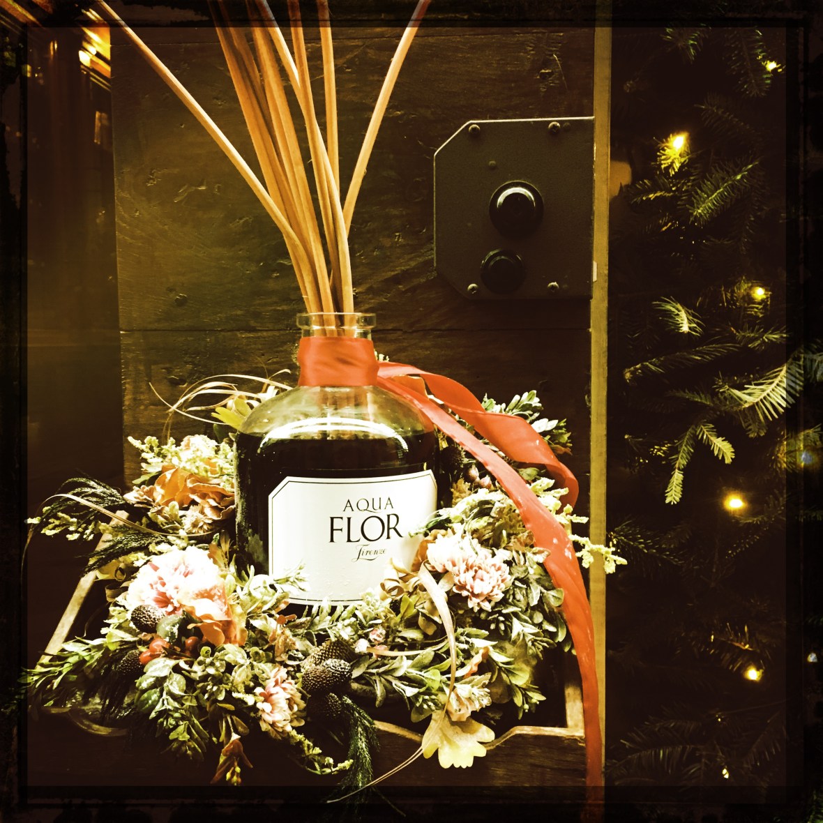 HipstamaticPhoto-534767456.550101