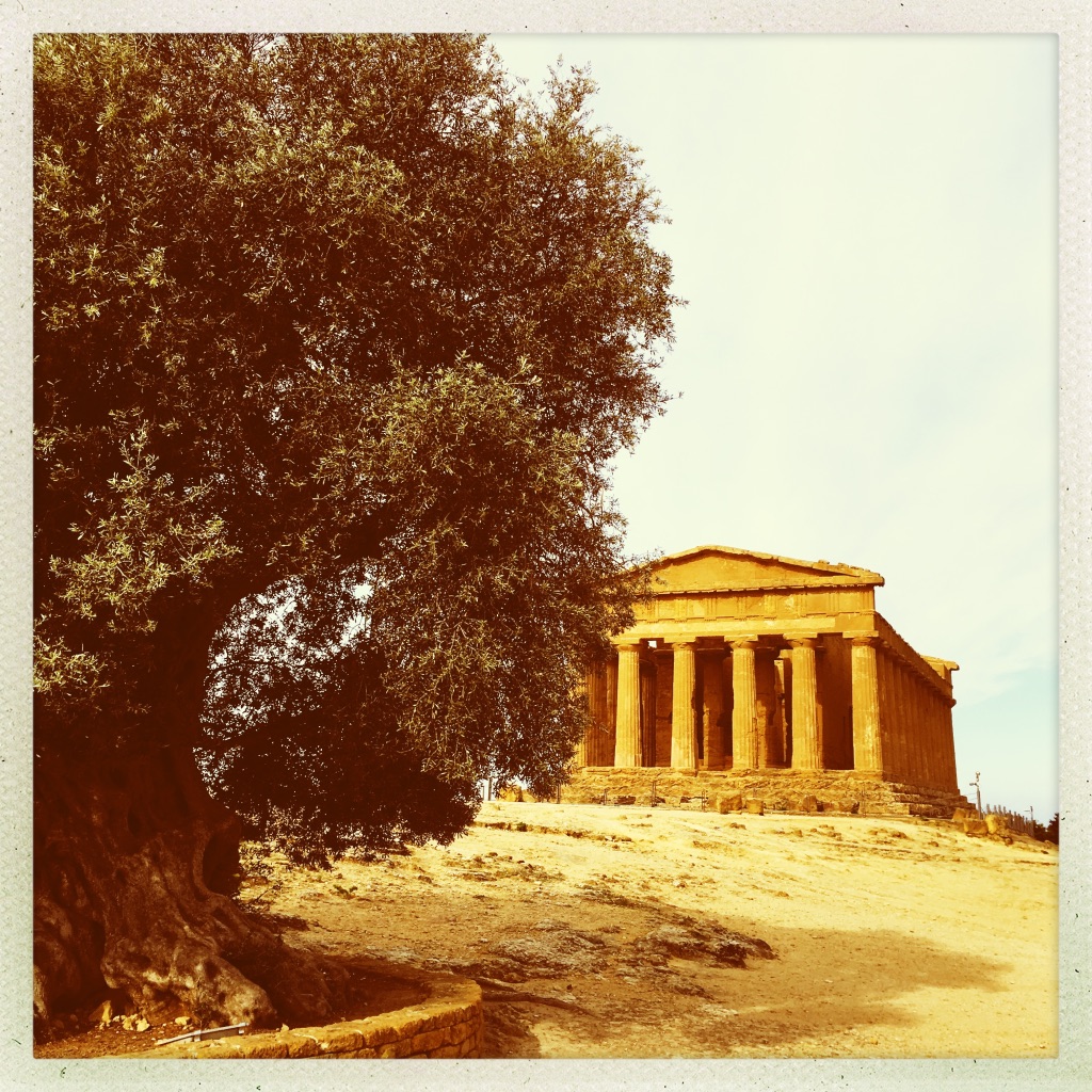 UNADJUSTEDNONRAW_thumb_1fdeb