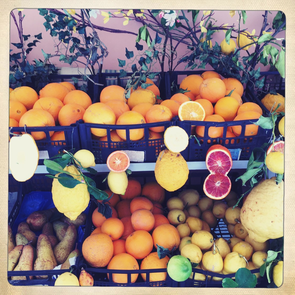 HipstamaticPhoto-514979099.899426